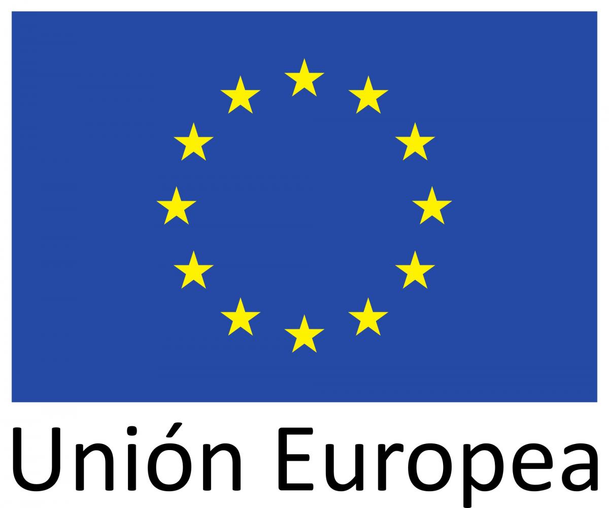 Logo bandera Unión Europea